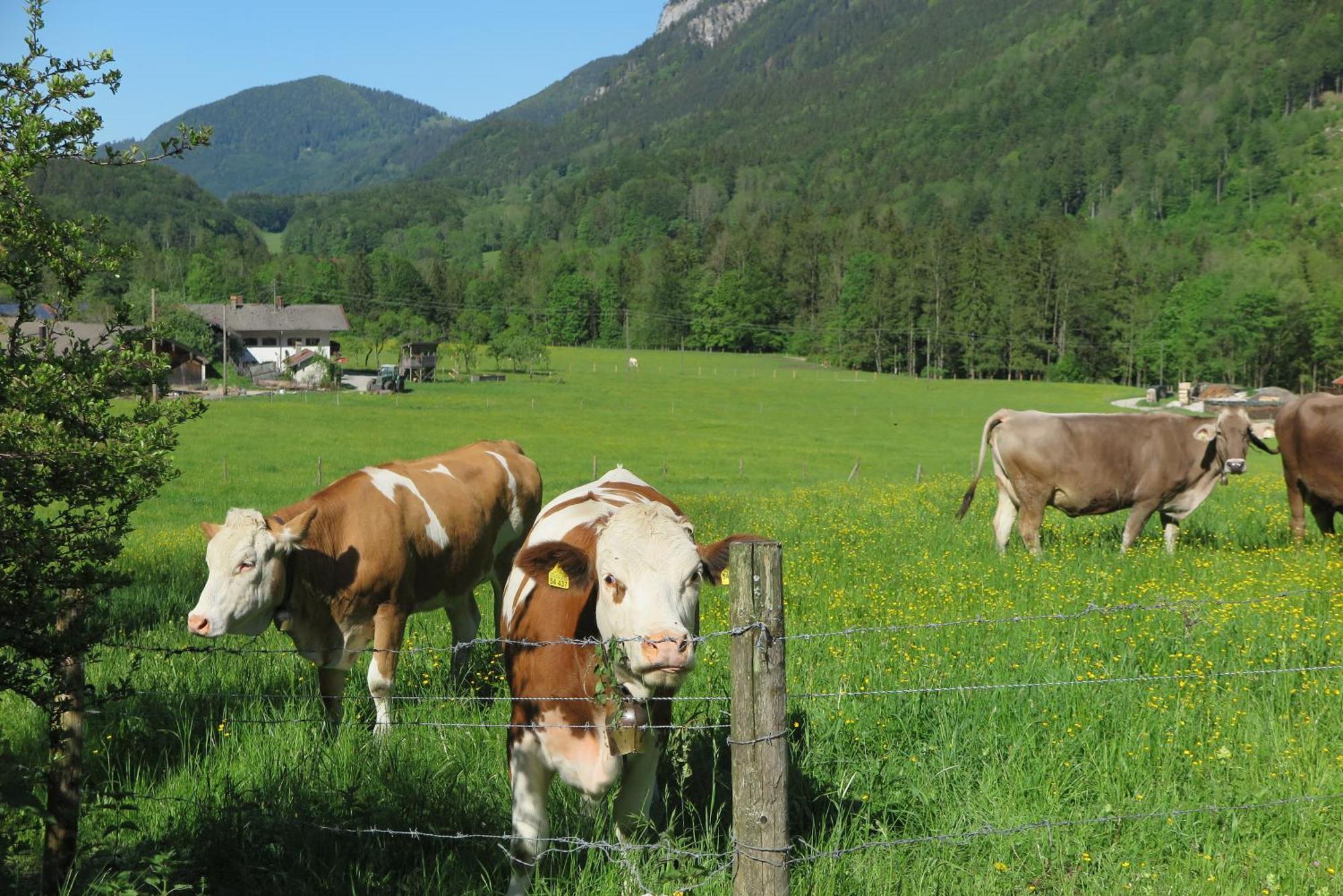 Ferienwohnungen Haus Waldwinkel Aschau im Chiemgau Esterno foto
